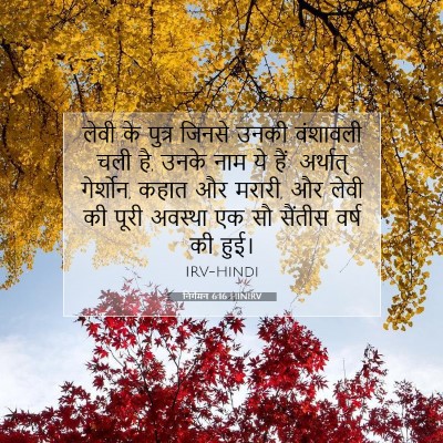 Picture 07 - निर्गमन 6:16 HINIRV - लेवी के पुत्र - Bible Verse Picture