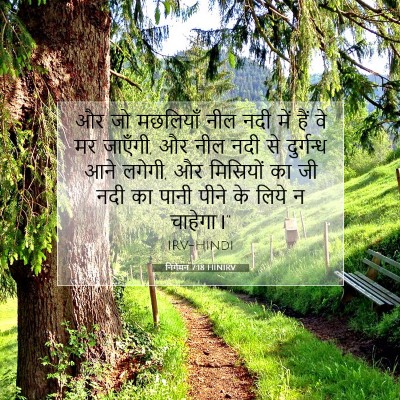 Picture 07 - निर्गमन 7:18 HINIRV - और जो मछलियाँ नील - Bible Verse Picture