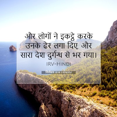 Picture 07 - निर्गमन 8:14 HINIRV - और लोगों ने इकट्ठे - Bible Verse Picture