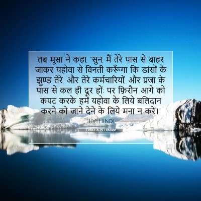 Picture 07 - निर्गमन 8:29 HINIRV - तब मूसा ने कहा, - Bible Verse Picture