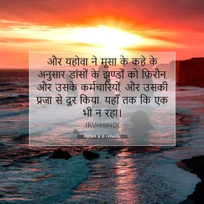 Picture 07 - निर्गमन 8:31 HINIRV - और यहोवा ने मूसा के - Bible Verse Picture