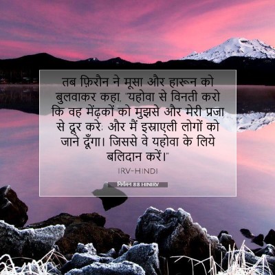 Picture 07 - निर्गमन 8:8 HINIRV - तब फ़िरौन ने मूसा - Bible Verse Picture
