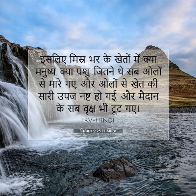 Picture 07 - निर्गमन 9:25 HINIRV - इसलिए मिस्र भर के - Bible Verse Picture