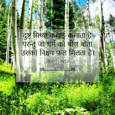 Picture 07 - नीतिवचन 11:18 HINIRV - दुष्ट मिथ्या कमाई - Bible Verse Picture