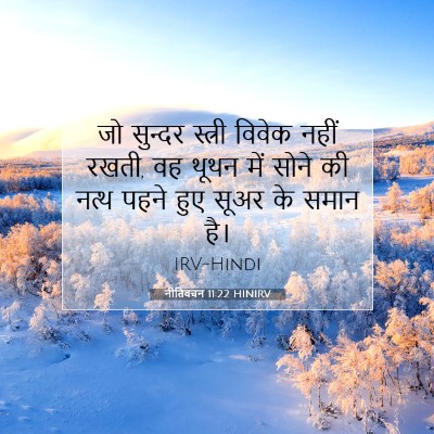 Picture 07 - नीतिवचन 11:22 HINIRV - जो सुन्दर स्त्री - Bible Verse Picture