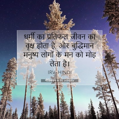 Picture 07 - नीतिवचन 11:30 HINIRV - धर्मी का प्रतिफल - Bible Verse Picture