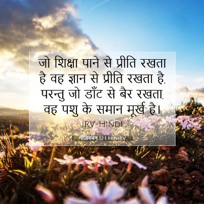Picture 07 - नीतिवचन 12:1 HINIRV - जो शिक्षा पाने से - Bible Verse Picture