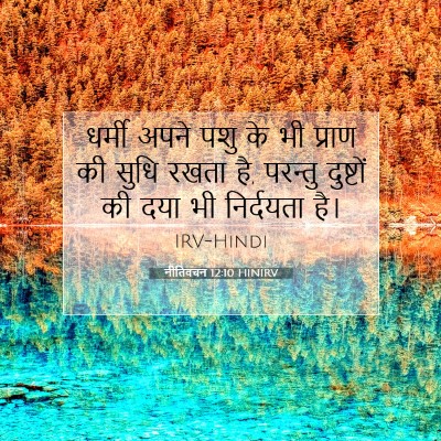Picture 07 - नीतिवचन 12:10 HINIRV - धर्मी अपने पशु के - Bible Verse Picture