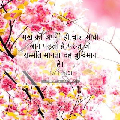 Picture 07 - नीतिवचन 12:15 HINIRV - मूर्ख को अपनी ही - Bible Verse Picture