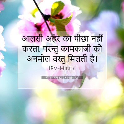 Picture 07 - नीतिवचन 12:27 HINIRV - आलसी अहेर का पीछा - Bible Verse Picture