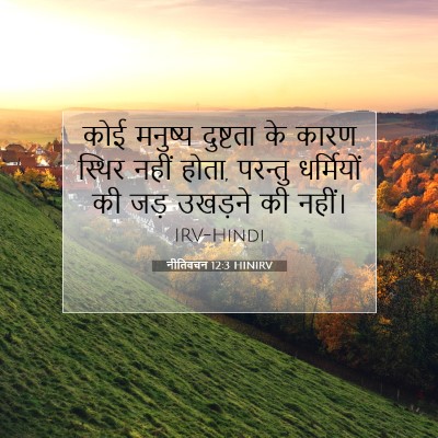 Picture 07 - नीतिवचन 12:3 HINIRV - कोई मनुष्य - Bible Verse Picture