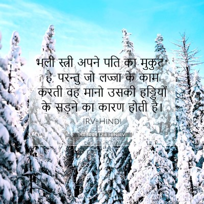 Picture 07 - नीतिवचन 12:4 HINIRV - भली स्त्री अपने - Bible Verse Picture