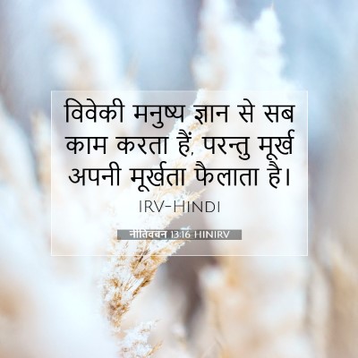 Picture 07 - नीतिवचन 13:16 HINIRV - विवेकी मनुष्य - Bible Verse Picture