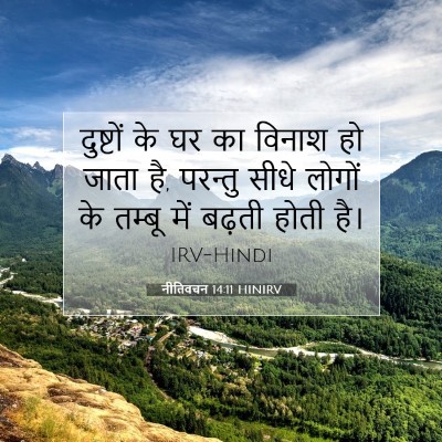 Picture 07 - नीतिवचन 14:11 HINIRV - दुष्टों के घर का - Bible Verse Picture