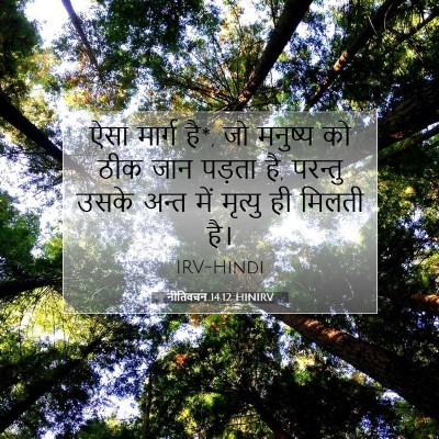Picture 07 - नीतिवचन 14:12 HINIRV - ऐसा मार्ग है*, जो - Bible Verse Picture