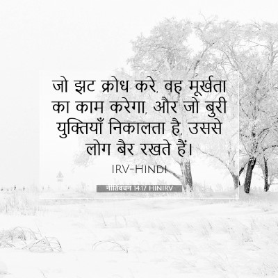 Picture 07 - नीतिवचन 14:17 HINIRV - जो झट क्रोध करे, वह - Bible Verse Picture
