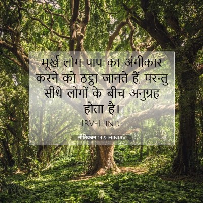 Picture 07 - नीतिवचन 14:9 HINIRV - मूर्ख लोग पाप का - Bible Verse Picture