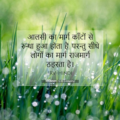 Picture 07 - नीतिवचन 15:19 HINIRV - आलसी का मार्ग - Bible Verse Picture