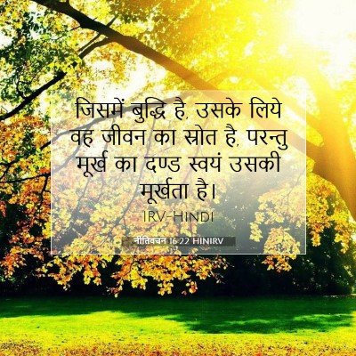 Picture 07 - नीतिवचन 16:22 HINIRV - जिसमें बुद्धि है, - Bible Verse Picture