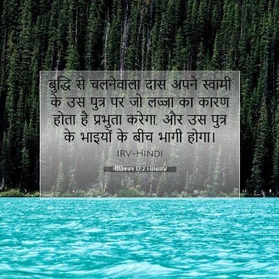 Picture 07 - नीतिवचन 17:2 HINIRV - बुद्धि से - Bible Verse Picture