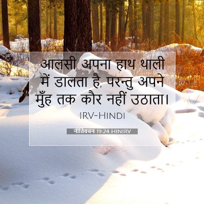 Picture 07 - नीतिवचन 19:24 HINIRV - आलसी अपना हाथ थाली - Bible Verse Picture
