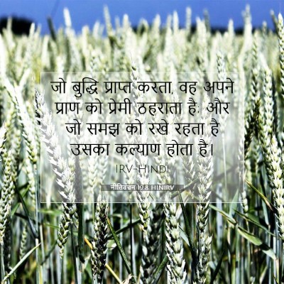Picture 07 - नीतिवचन 19:8 HINIRV - जो बुद्धि प्राप्त - Bible Verse Picture