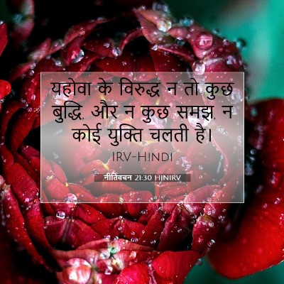 Picture 07 - नीतिवचन 21:30 HINIRV - यहोवा के विरुद्ध न - Bible Verse Picture