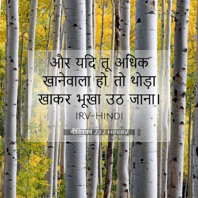 Picture 07 - नीतिवचन 23:2 HINIRV - और यदि तू अधिक - Bible Verse Picture