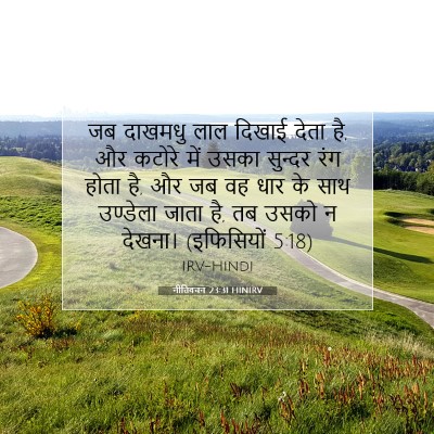 Picture 07 - नीतिवचन 23:31 HINIRV - जब दाखमधु लाल - Bible Verse Picture