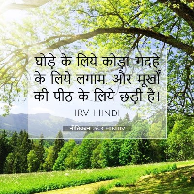 Picture 07 - नीतिवचन 26:3 HINIRV - घोड़े के लिये - Bible Verse Picture