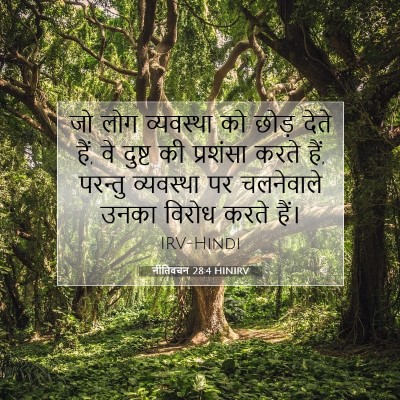 Picture 07 - नीतिवचन 28:4 HINIRV - जो लोग व्यवस्था को - Bible Verse Picture