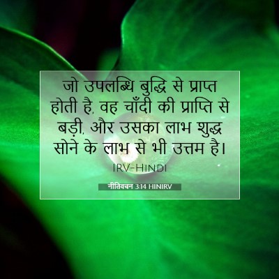 Picture 07 - नीतिवचन 3:14 HINIRV - जो उपलब्धि बुद्धि - Bible Verse Picture