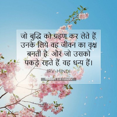 Picture 07 - नीतिवचन 3:18 HINIRV - जो बुद्धि को ग्रहण - Bible Verse Picture
