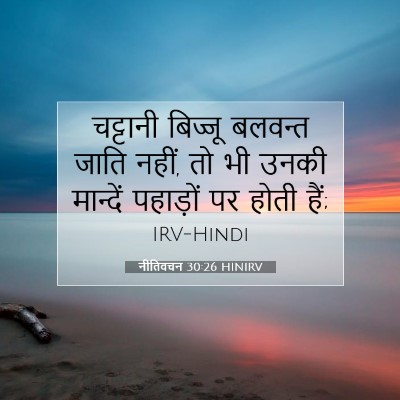 Picture 07 - नीतिवचन 30:26 HINIRV - चट्टानी बिज्जू - Bible Verse Picture