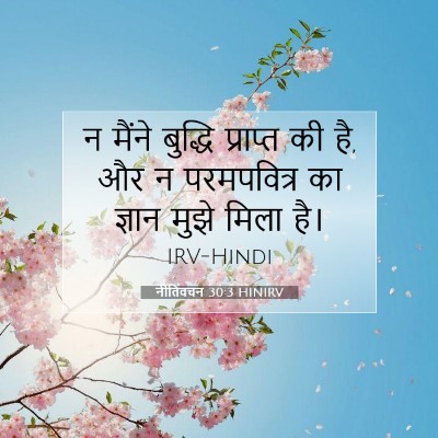 Picture 07 - नीतिवचन 30:3 HINIRV - न मैंने बुद्धि - Bible Verse Picture
