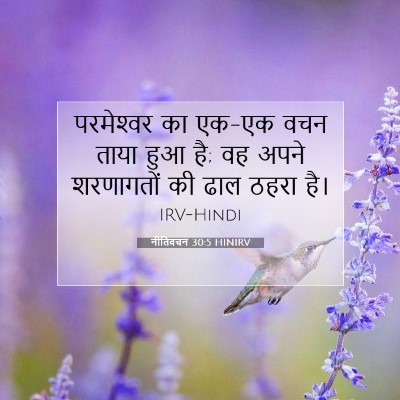 Picture 07 - नीतिवचन 30:5 HINIRV - परमेश्‍वर का एक-एक - Bible Verse Picture