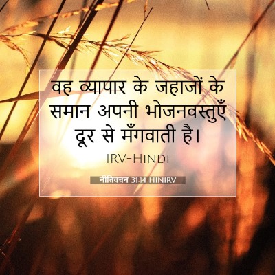 Picture 07 - नीतिवचन 31:14 HINIRV - वह व्यापार के - Bible Verse Picture