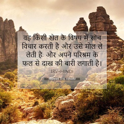 Picture 07 - नीतिवचन 31:16 HINIRV - वह किसी खेत के विषय - Bible Verse Picture