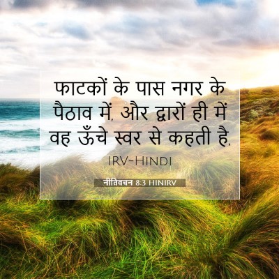 Picture 07 - नीतिवचन 8:3 HINIRV - फाटकों के पास नगर - Bible Verse Picture