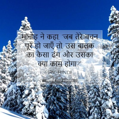 Picture 07 - न्यायियों 13:12 HINIRV - मानोह ने कहा, “जब - Bible Verse Picture