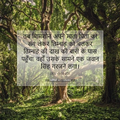 Picture 07 - न्यायियों 14:5 HINIRV - तब शिमशोन अपने - Bible Verse Picture