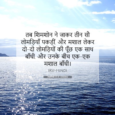 Picture 07 - न्यायियों 15:4 HINIRV - तब शिमशोन ने जाकर - Bible Verse Picture
