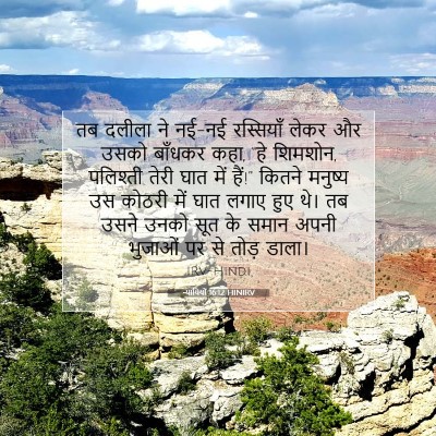 Picture 07 - न्यायियों 16:12 HINIRV - तब दलीला ने नई-नई - Bible Verse Picture
