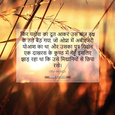 Picture 07 - न्यायियों 6:11 HINIRV - फिर यहोवा का दूत - Bible Verse Picture