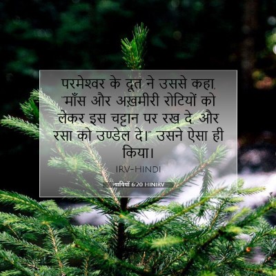 Picture 07 - न्यायियों 6:20 HINIRV - परमेश्‍वर के दूत - Bible Verse Picture