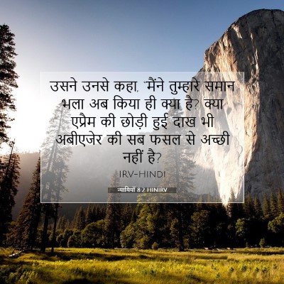 Picture 07 - न्यायियों 8:2 HINIRV - उसने उनसे कहा, - Bible Verse Picture
