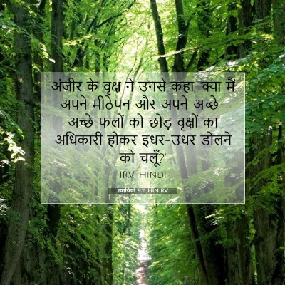 Picture 07 - न्यायियों 9:11 HINIRV - अंजीर के वृक्ष ने - Bible Verse Picture