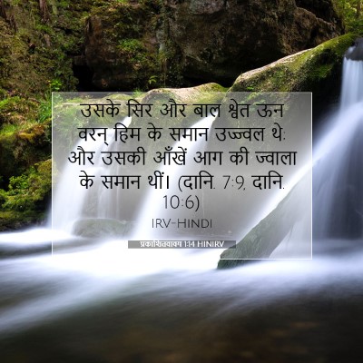 Picture 07 - प्रकाशितवाक्य 1:14 HINIRV - उसके सिर और बाल - Bible Verse Picture