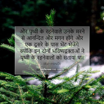 Picture 07 - प्रकाशितवाक्य 11:10 HINIRV - और पृथ्वी के - Bible Verse Picture