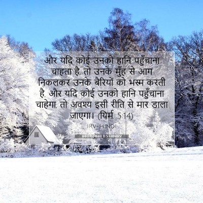 Picture 07 - प्रकाशितवाक्य 11:5 HINIRV - और यदि कोई उनको - Bible Verse Picture
